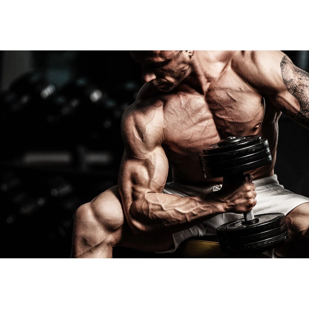 Articles Image Helpful Tips for Managing A Steroid Cycle