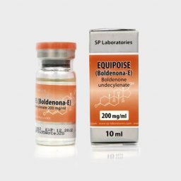 SP Equipoise