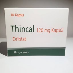 Thincal